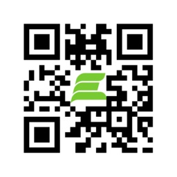 FE Scan