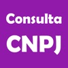 Consulta CNPJ - Situação icon
