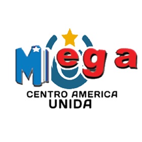 Mega Multi Servicio USA