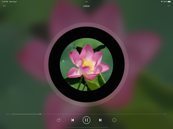 LoveMusic Player - Local Play