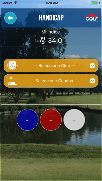 FedeGolf Chile Screenshot