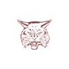 Brandywine Schools MI icon