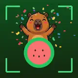 Juicy Melons - Icona app
