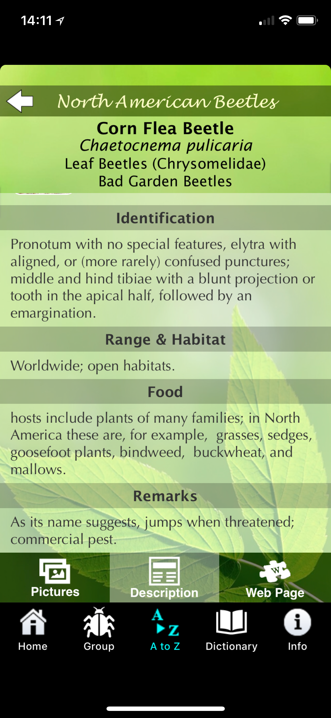 North American Beetles screenshot 5