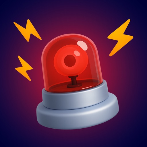 Crook Catcher Anti Theft Alarm