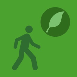 EcoSteps