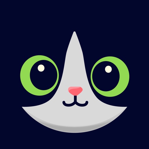 Pursuits: Daily Knowledge