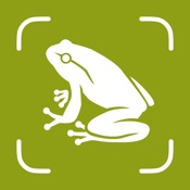Frog Identifier – Frogium