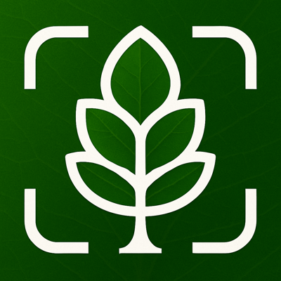 Tree Identifier: Tree id