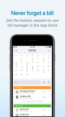 Chronicle - Bill Organizer 1