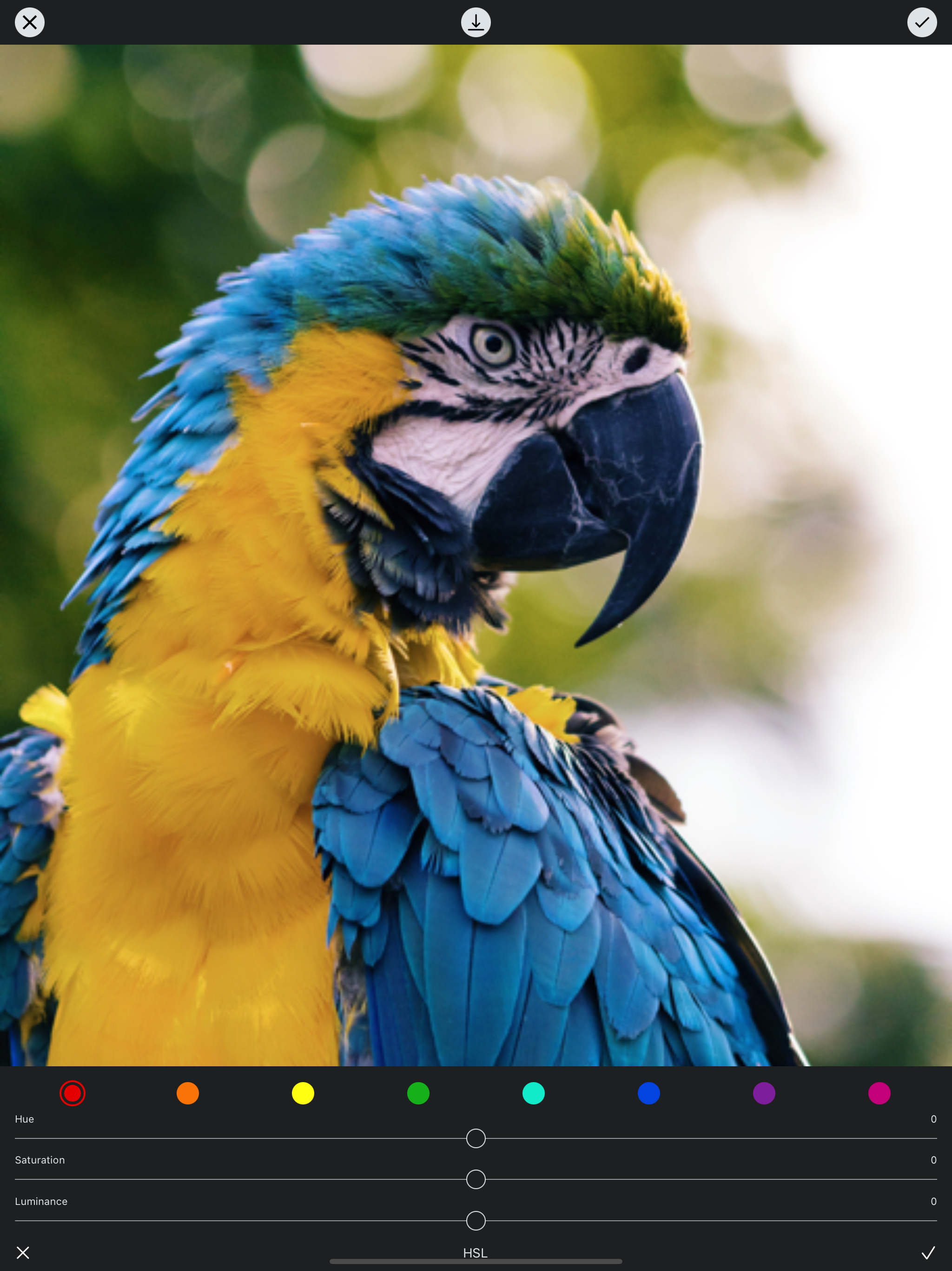 Photo Filters + Preset Editor screenshot 15