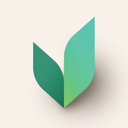 Vive – wealth management