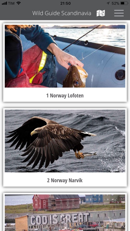 Wild Guide Scandinavia