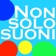 Radio Nonsolosuoni app icon - Music app for iPhone