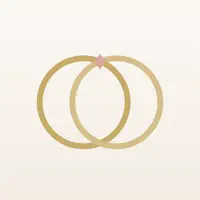 Wedding Film - Photo Filters