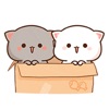 Kitty Life Sticker icon