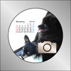 AnyCal PRO