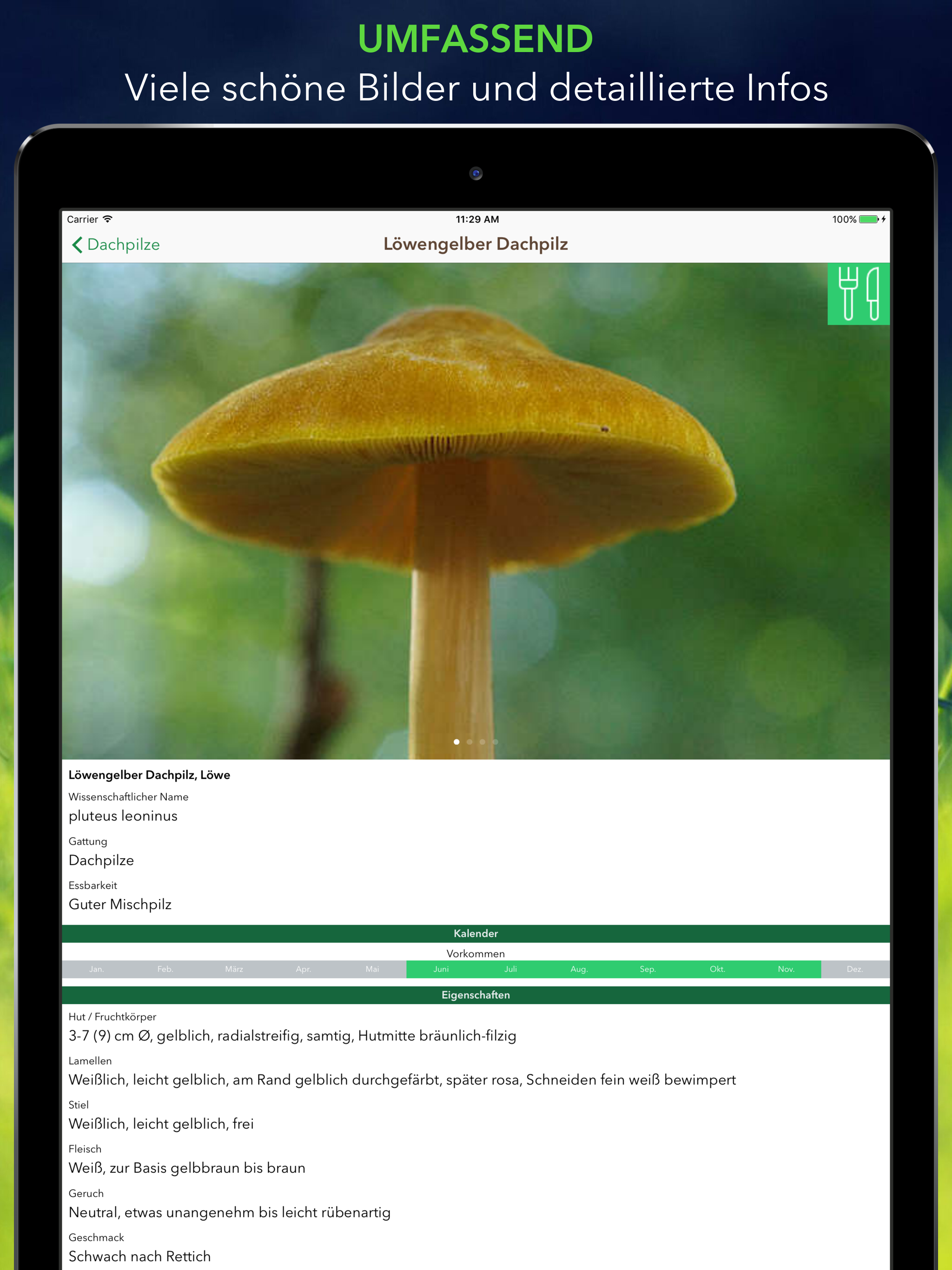 Pilze 123