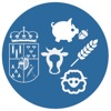 LonjaSalamancaMovil icon