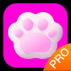 斑克猫语翻译pro positive reviews, comments