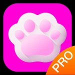 Download 斑克猫语翻译pro app