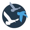 RBMIS icon