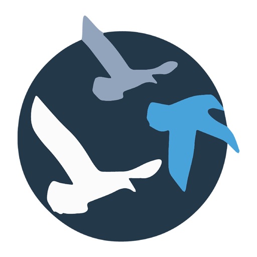 RBMIS - AppWisp.com