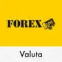 FOREX Currency