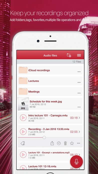 Audiologic recorder by iDoceo Screenshot