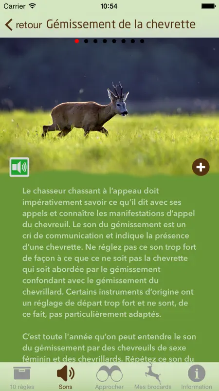 Chasse à l’appeau réussie screenshot 3 of 5