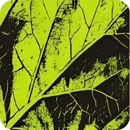 HRMS By Lemon