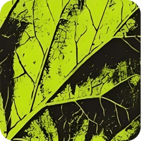 ภาพหน้าจอ (5) HRMS By Lemon