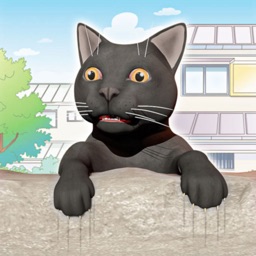 Little Kitty: Cat Simulator 3D