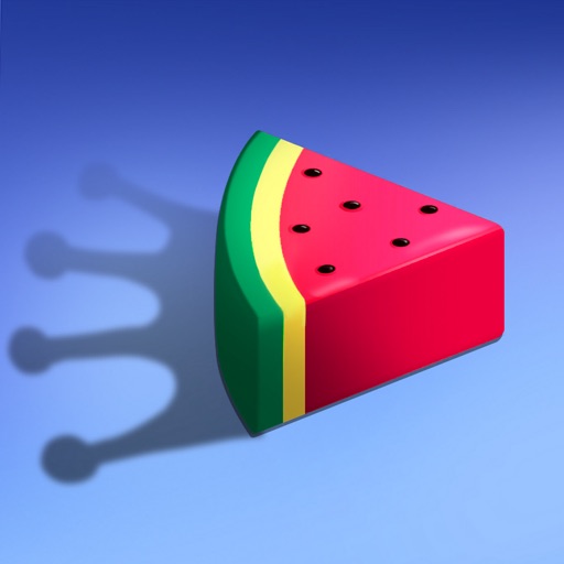 Slice Fit Puzzle