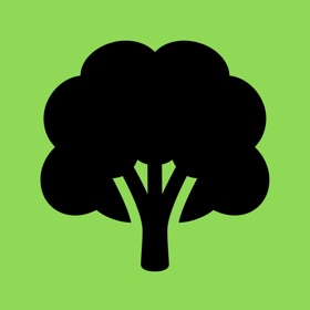 螢幕擷取畫面 (5) Trees in Hamburg
