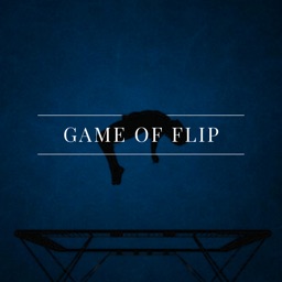 Game of Flip - FLIP