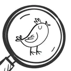 Hidden Birds