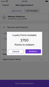 DaySmart Spa Software screenshot