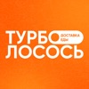 ТурбоЛосось icon