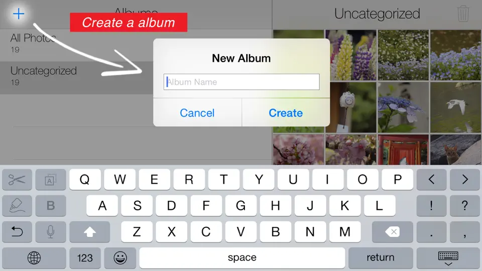 Скриншот Easy Albums на iPhone 2