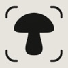 Mushroom ID - AI Identifier icon