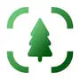 Tree Identifier - AI Scanner