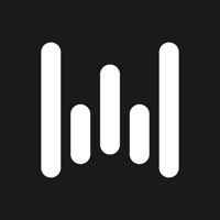 Wispr Flow: AI Voice Dictation pc