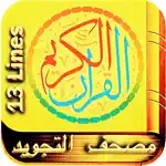 13 Line Quran Indopak Script App Contact