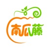 南瓜藤侍卫