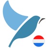 Bluebird: Learn Dutch icon