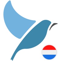 Bluebird logo