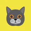 Cat Wisdom - Cat Lovers App App Positive Reviews