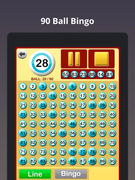 Bingo at Home