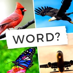 4 Pictures Word Guessing Game